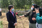 （养生）寒食节要“吃冷”？ 中医专家这样说